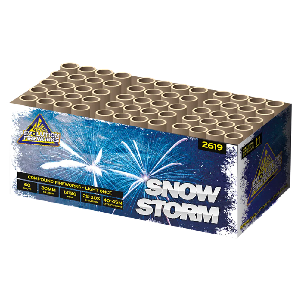 Snowstorm