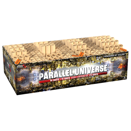 Parallel Universe