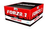 Forza 1